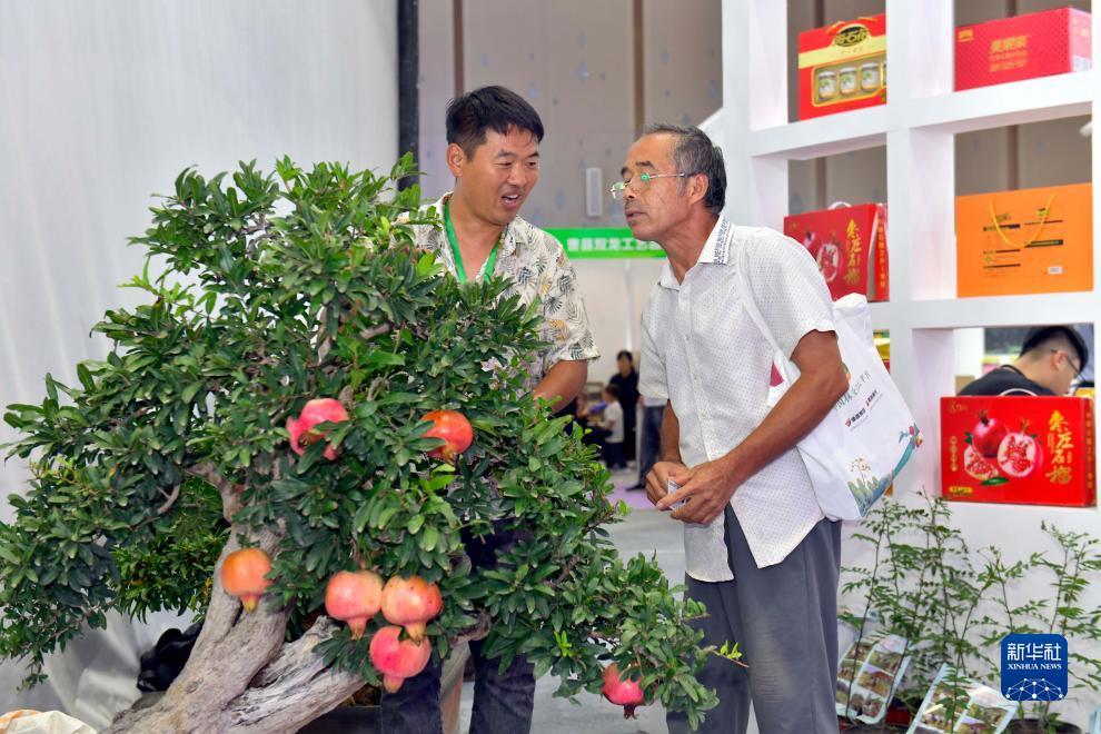 喜乐搜索